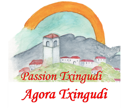 Logo Agora Txingudi-Michel